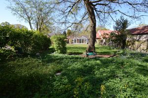 Large Rear Garden- click for photo gallery